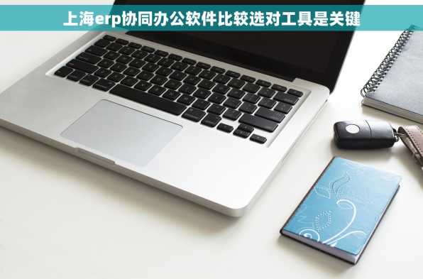 上海erp协同办公软件比较选对工具是关键
