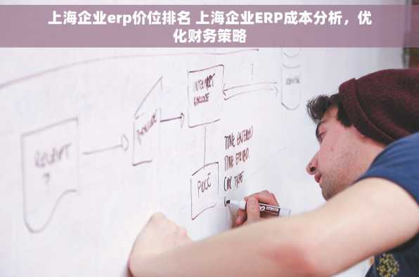 上海企业erp价位排名 上海企业ERP成本分析，优化财务策略