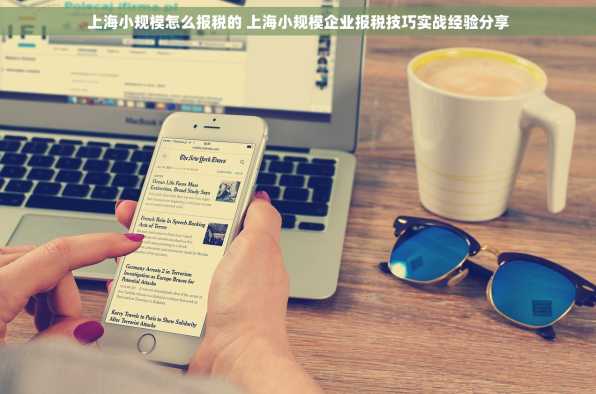 上海小规模怎么报税的 上海小规模企业报税技巧实战经验分享