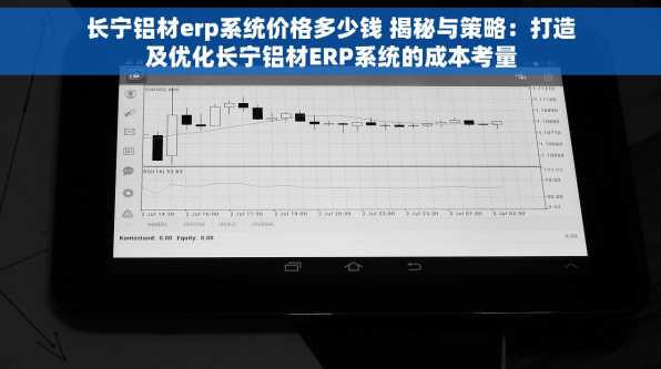 长宁铝材erp系统价格多少钱 揭秘与策略：打造及优化长宁铝材ERP系统的成本考量