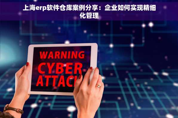上海erp软件仓库案例分享：企业如何实现精细化管理