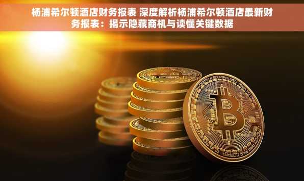 杨浦希尔顿酒店财务报表 深度解析杨浦希尔顿酒店最新财务报表：揭示隐藏商机与读懂关键数据