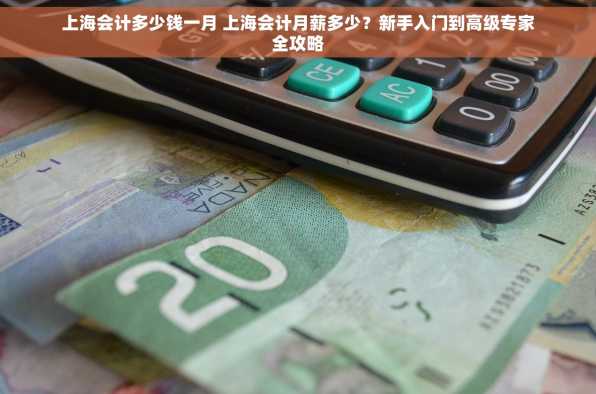 上海会计多少钱一月 上海会计月薪多少？新手入门到高级专家全攻略