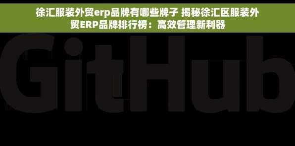 徐汇服装外贸erp品牌有哪些牌子 揭秘徐汇区服装外贸ERP品牌排行榜：高效管理新利器