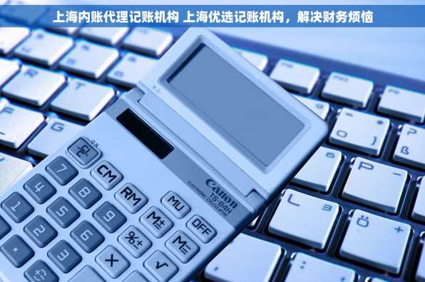 上海内账代理记账机构 上海优选记账机构，解决财务烦恼