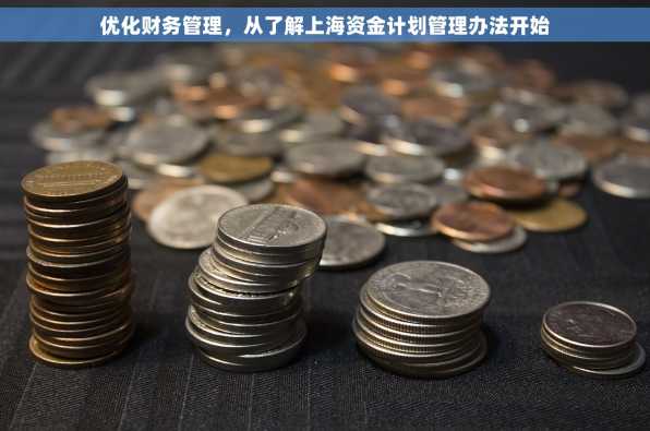 优化财务管理，从了解上海资金计划管理办法开始