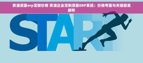 黄浦质量erp定做价格 黄浦企业定制质量ERP系统：价格考量与关键因素解析