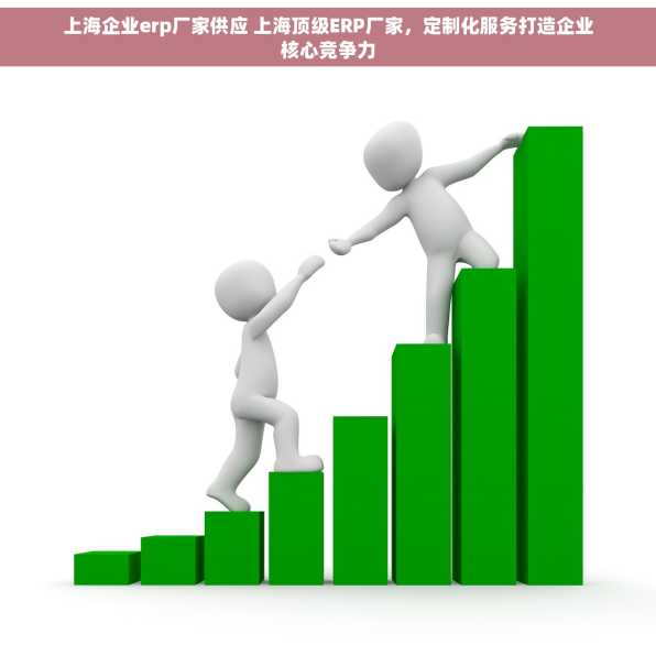 上海企业erp厂家供应 上海顶级ERP厂家，定制化服务打造企业核心竞争力