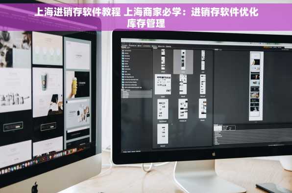 上海进销存软件教程 上海商家必学：进销存软件优化库存管理