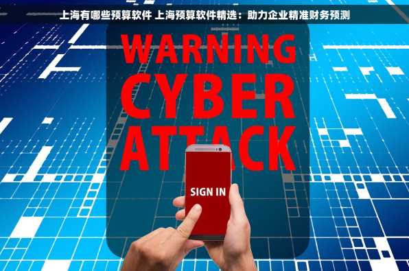 上海有哪些预算软件 上海预算软件精选：助力企业精准财务预测