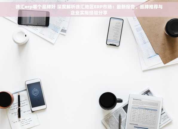 徐汇erp哪个品牌好 深度解析徐汇地区ERP市场：最新报告、品牌推荐与企业实施经验分享