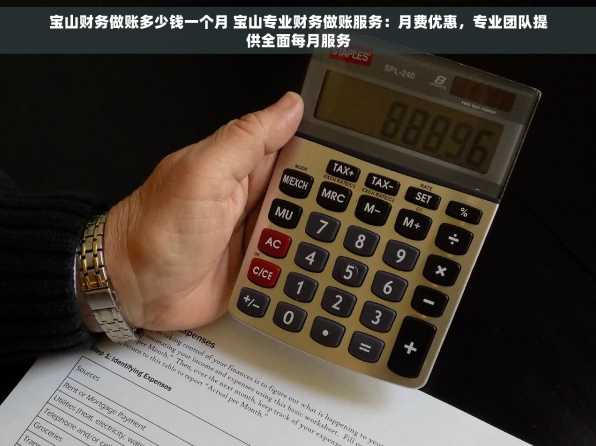 宝山财务做账多少钱一个月 宝山专业财务做账服务：月费优惠，专业团队提供全面每月服务