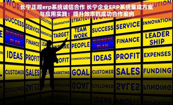 长宁正规erp系统诚信合作 长宁企业ERP系统集成方案与应用实践：提升效率的成功合作案例
