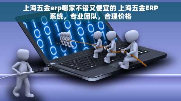 上海五金erp哪家不错又便宜的 上海五金ERP系统，专业团队，合理价格