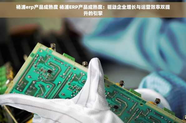 杨浦erp产品成熟度 杨浦ERP产品成熟度：驱动企业增长与运营效率双提升的引擎