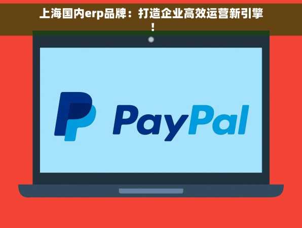 上海国内erp品牌：打造企业高效运营新引擎！