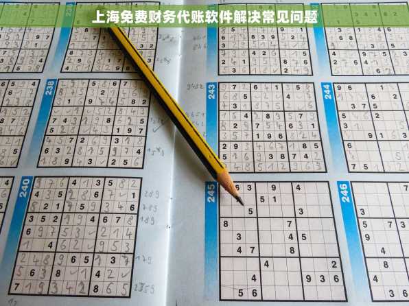 上海免费财务代账软件解决常见问题