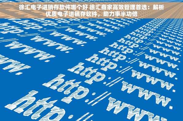 徐汇电子进销存软件哪个好 徐汇商家高效管理首选：解析优质电子进销存软件，助力事半功倍