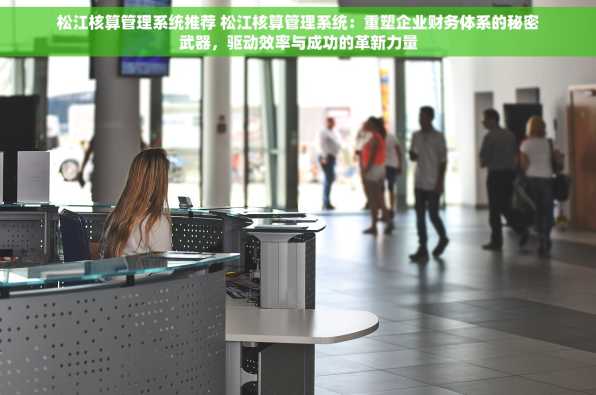 松江核算管理系统推荐 松江核算管理系统：重塑企业财务体系的秘密武器，驱动效率与成功的革新力量