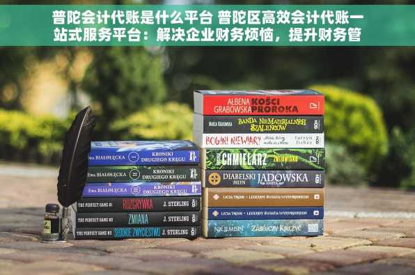 普陀会计代账是什么平台 普陀区高效会计代账一站式服务平台：解决企业财务烦恼，提升财务管理