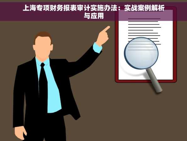 上海专项财务报表审计实施办法：实战案例解析与应用