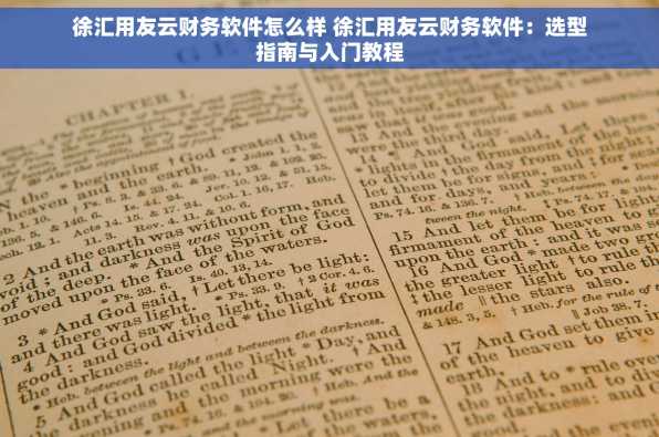 徐汇用友云财务软件怎么样 徐汇用友云财务软件：选型指南与入门教程