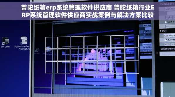 普陀纸箱erp系统管理软件供应商 普陀纸箱行业ERP系统管理软件供应商实战案例与解决方案比较分析