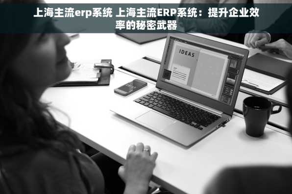 上海主流erp系统 上海主流ERP系统：提升企业效率的秘密武器