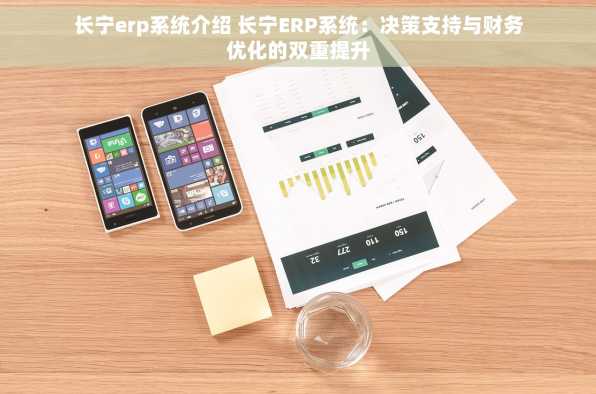 长宁erp系统介绍 长宁ERP系统：决策支持与财务优化的双重提升