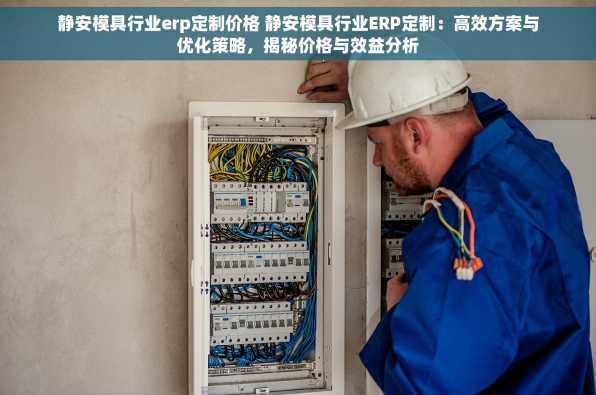 静安模具行业erp定制价格 静安模具行业ERP定制：高效方案与优化策略，揭秘价格与效益分析
