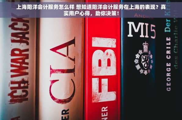 上海阳洋会计服务怎么样 想知道阳洋会计服务在上海的表现？真实用户心得，助你决策！