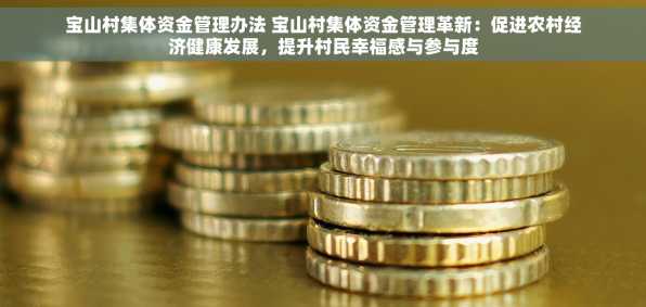 宝山村集体资金管理办法 宝山村集体资金管理革新：促进农村经济健康发展，提升村民幸福感与参与度