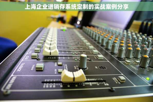 上海企业进销存系统定制的实战案例分享