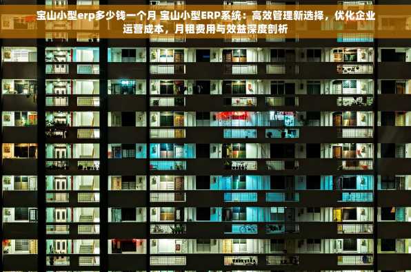 宝山小型erp多少钱一个月 宝山小型ERP系统：高效管理新选择，优化企业运营成本，月租费用与效益深度剖析