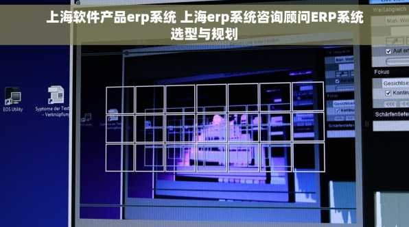 上海软件产品erp系统 上海erp系统咨询顾问ERP系统选型与规划