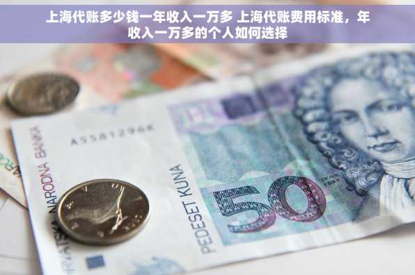 上海代账多少钱一年收入一万多 上海代账费用标准，年收入一万多的个人如何选择