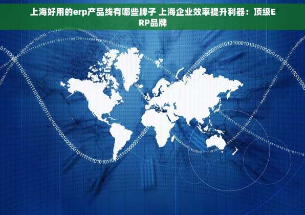 上海好用的erp产品线有哪些牌子 上海企业效率提升利器：顶级ERP品牌
