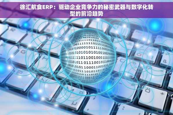 徐汇航食ERP：驱动企业竞争力的秘密武器与数字化转型的前沿趋势