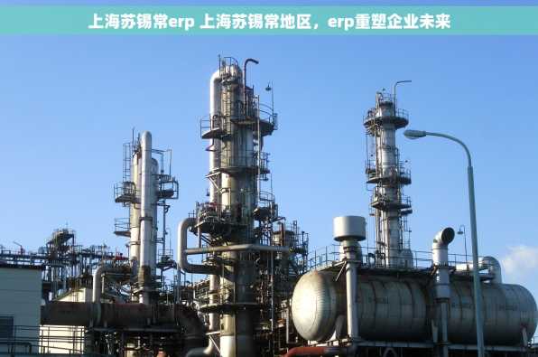 上海苏锡常erp 上海苏锡常地区，erp重塑企业未来