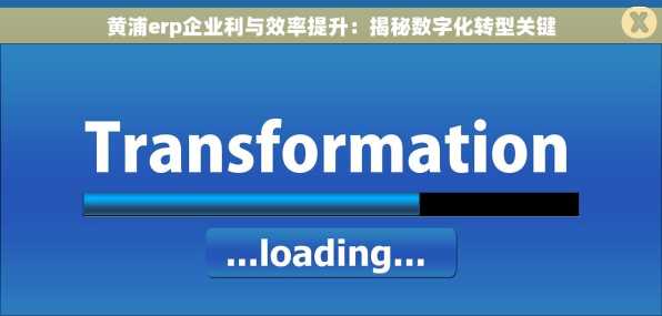 黄浦erp企业利与效率提升：揭秘数字化转型关键