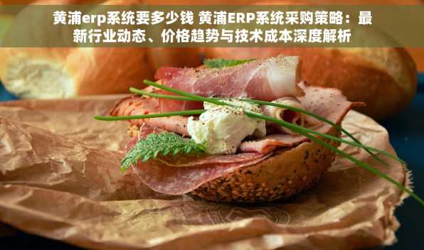 黄浦erp系统要多少钱 黄浦ERP系统采购策略：最新行业动态、价格趋势与技术成本深度解析