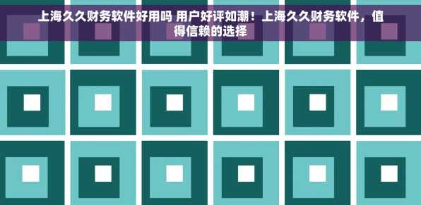 上海久久财务软件好用吗 用户好评如潮！上海久久财务软件，值得信赖的选择