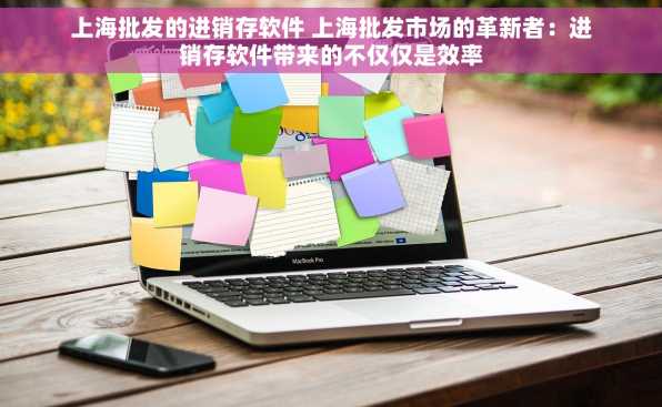 上海批发的进销存软件 上海批发市场的革新者：进销存软件带来的不仅仅是效率
