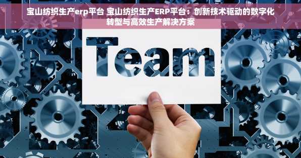 宝山纺织生产erp平台 宝山纺织生产ERP平台：创新技术驱动的数字化转型与高效生产解决方案