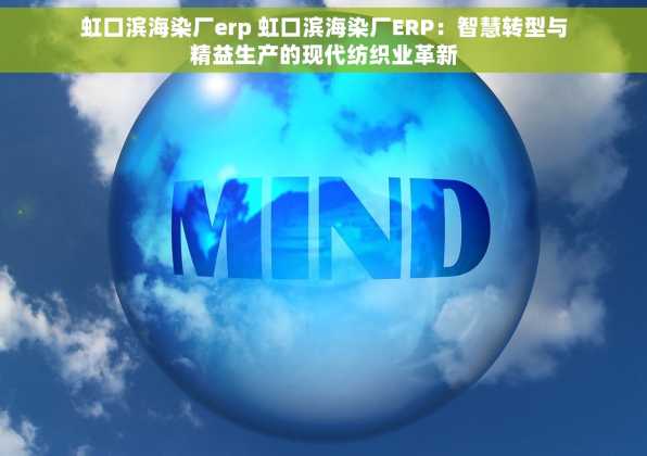 虹口滨海染厂erp 虹口滨海染厂ERP：智慧转型与精益生产的现代纺织业革新