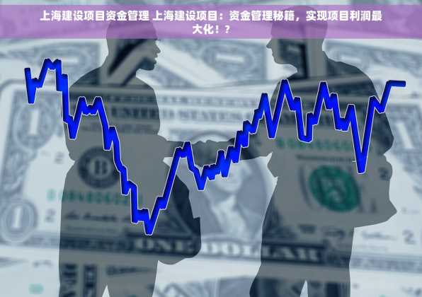 上海建设项目资金管理 上海建设项目：资金管理秘籍，实现项目利润最大化！?