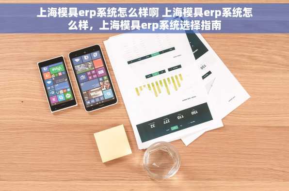 上海模具erp系统怎么样啊 上海模具erp系统怎么样，上海模具erp系统选择指南
