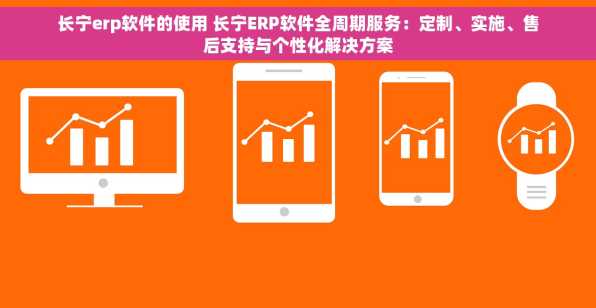 长宁erp软件的使用 长宁ERP软件全周期服务：定制、实施、售后支持与个性化解决方案