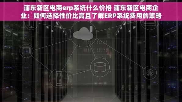 浦东新区电商erp系统什么价格 浦东新区电商企业：如何选择性价比高且了解ERP系统费用的策略