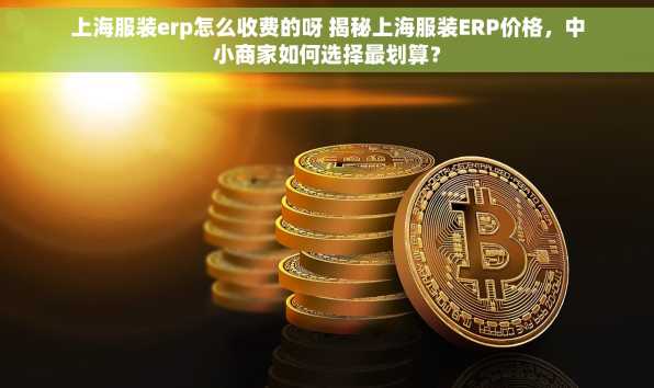 上海服装erp怎么收费的呀 揭秘上海服装ERP价格，中小商家如何选择最划算？